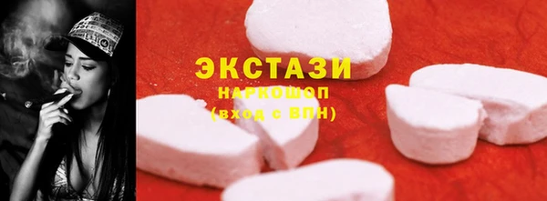 индика Каменногорск