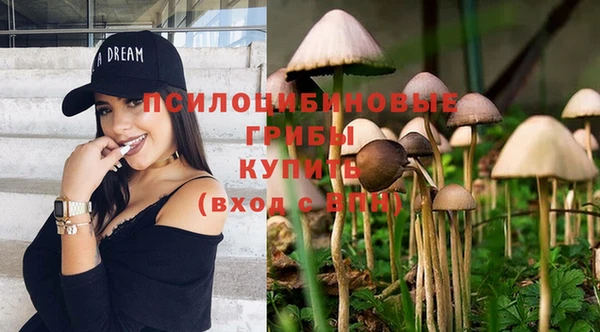прущие крисы Арсеньев