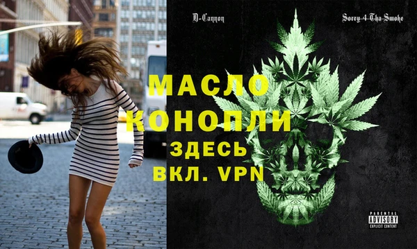 хмурый Каменка