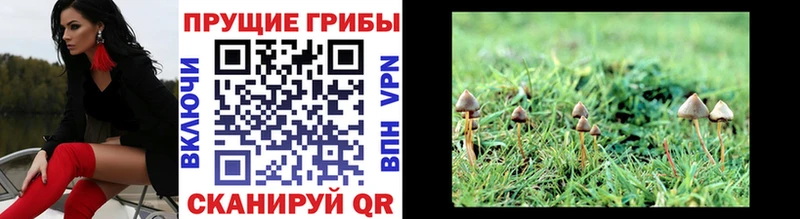 Галлюциногенные грибы GOLDEN TEACHER Олёкминск